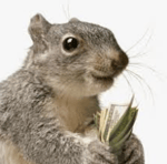 financial new years resolutions